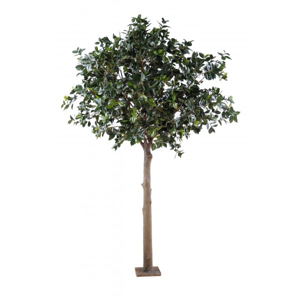 Fruitier Platine – Arbre artificiel