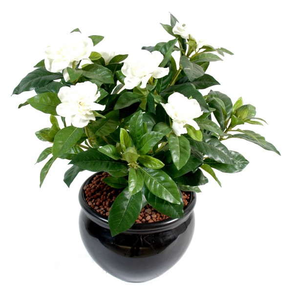 Gardenia*6-6 – Plante artificielle