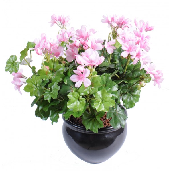 Geranium Lierre – Plante artificielle