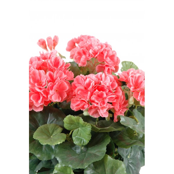 Geranium*115 – Plante artificielle