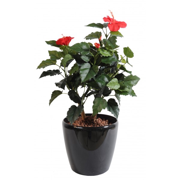 Hibiscus – Arbre artificiel