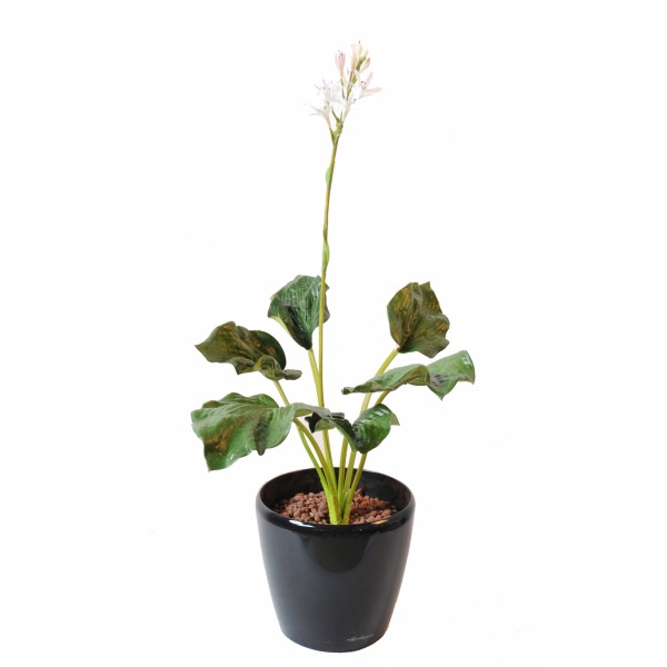 Hosta Fleuri – Plante artificielle