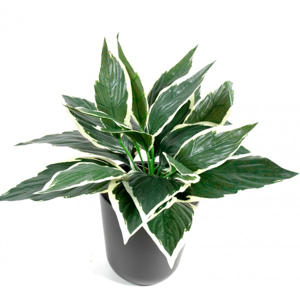 Hosta Mini*24 – Plante artificielle