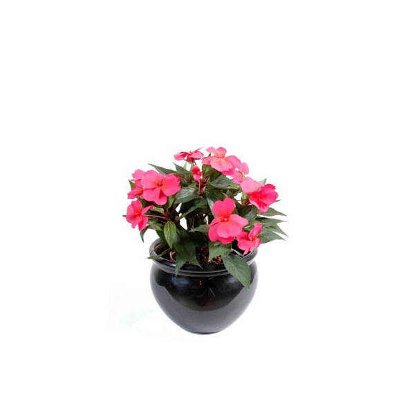 Impatiens Piquet Mini – Plante artificielle