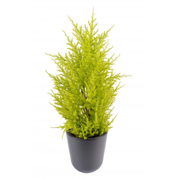 Juniperus – Arbre artificiel