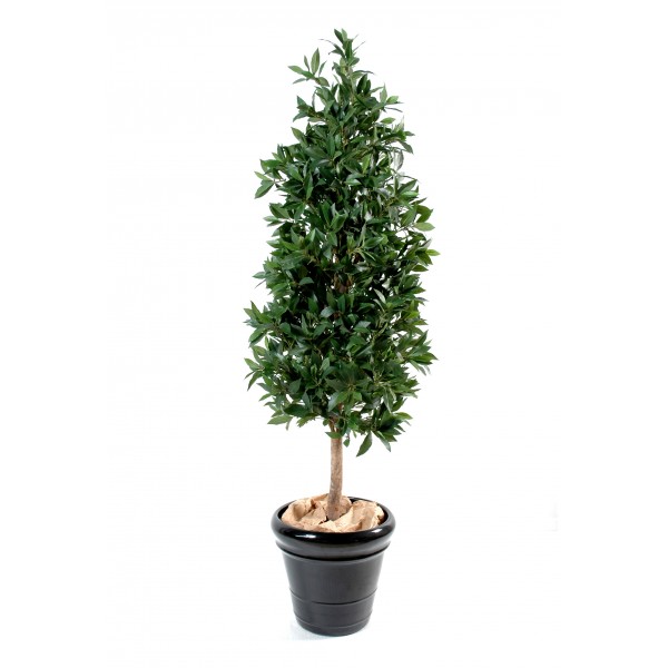 Laurier Pyramide Luxe – Arbre artificiel