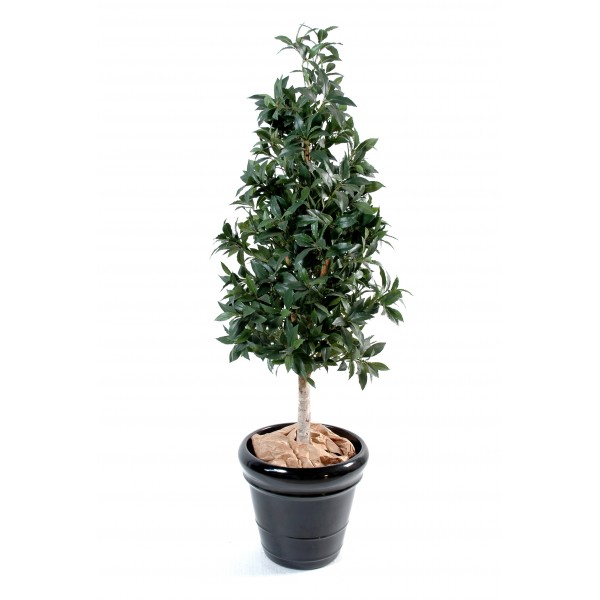 Laurier Pyramide – Arbre artificiel