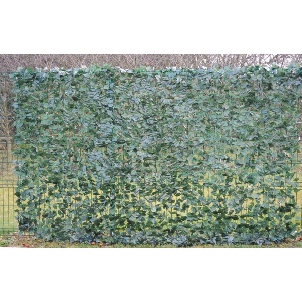 Lierre Filet  200*300 – Pas cher