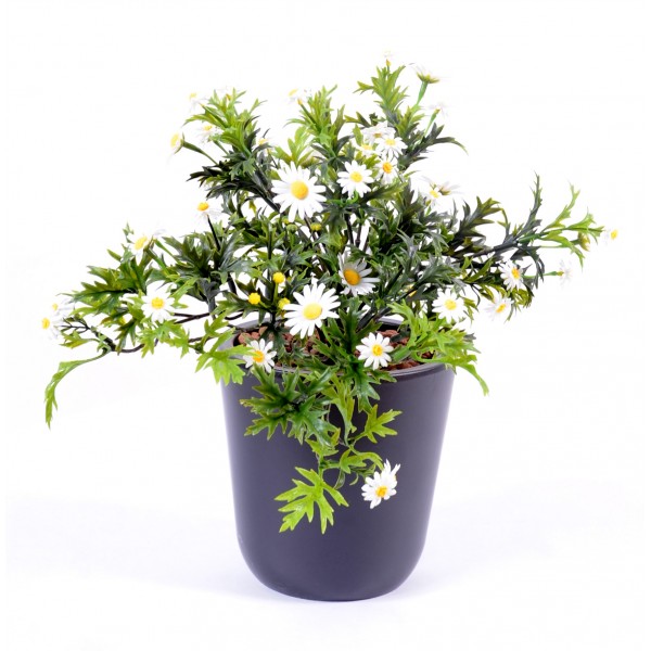 Marguerite Plast – Plante artificielle