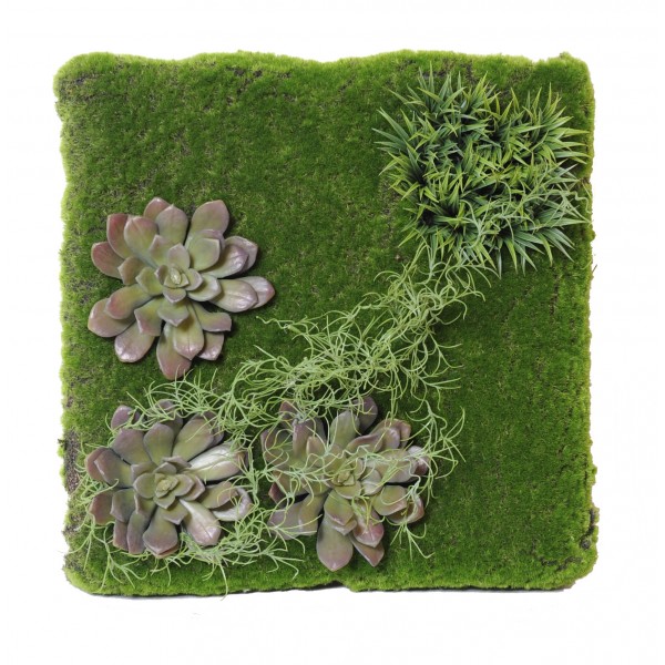 Mur Vegetal 50*50 – Composition artificielle