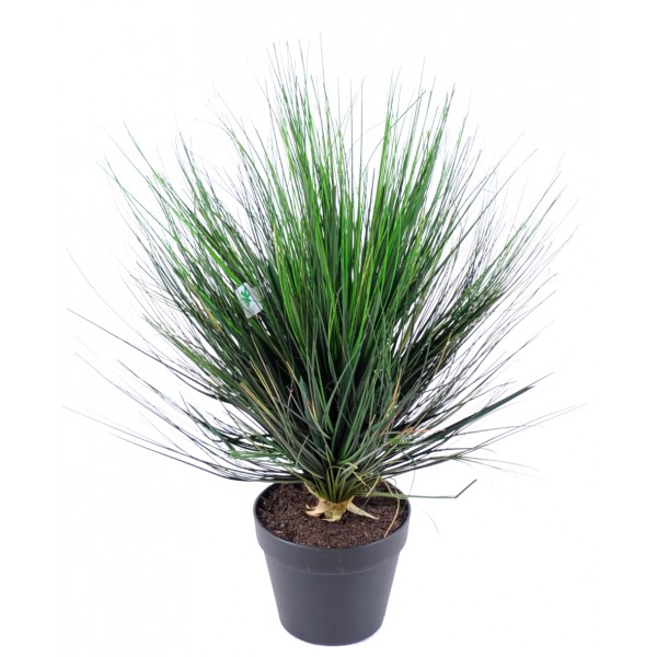 Onion Grass Round – Végétal artificiel