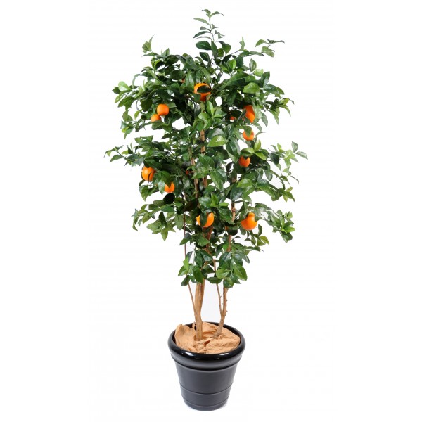 Oranger New – Arbre artificiel