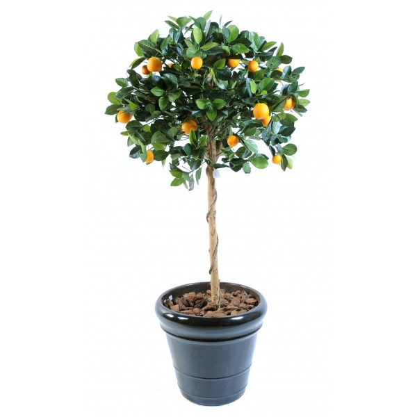 Oranger Tete – Arbre artificiel