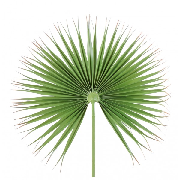 Palme Camerus Royal – Feuillage artificiel