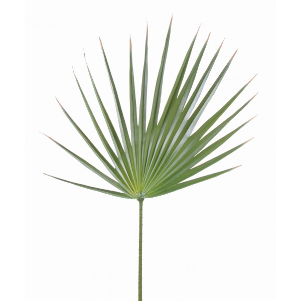 Palme Washingtonia – Feuillage artificiel