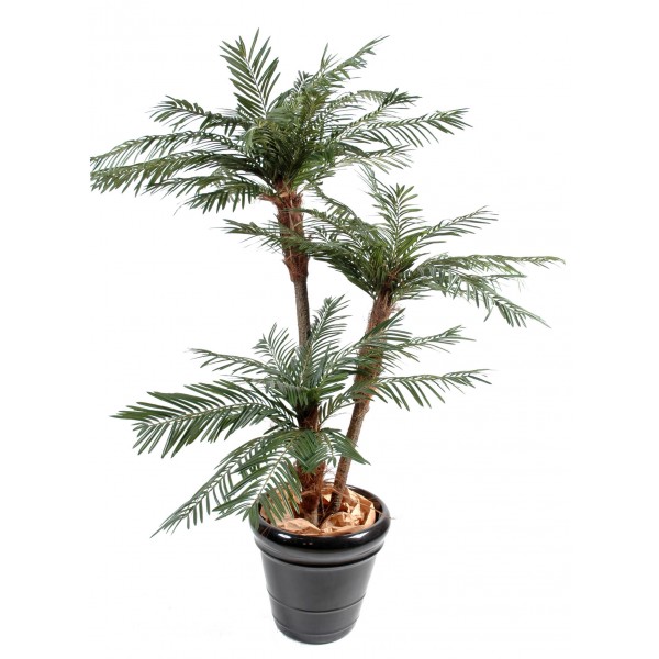 Palmier 3 Troncs New Tf – Arbre artificiel