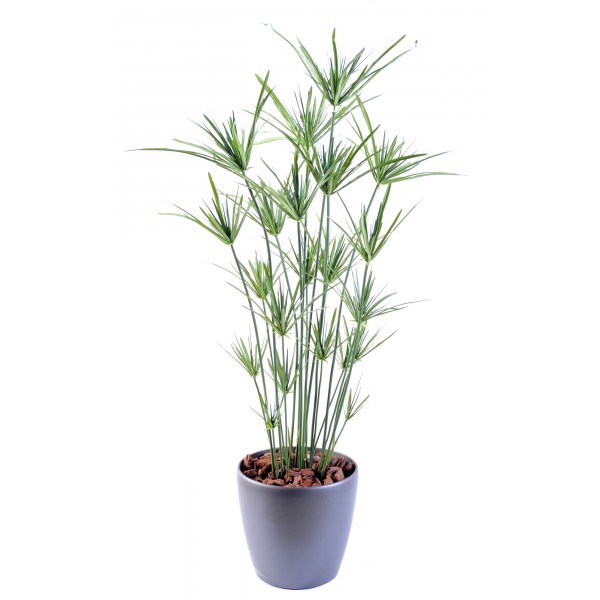 Papyrus – Plante artificielle