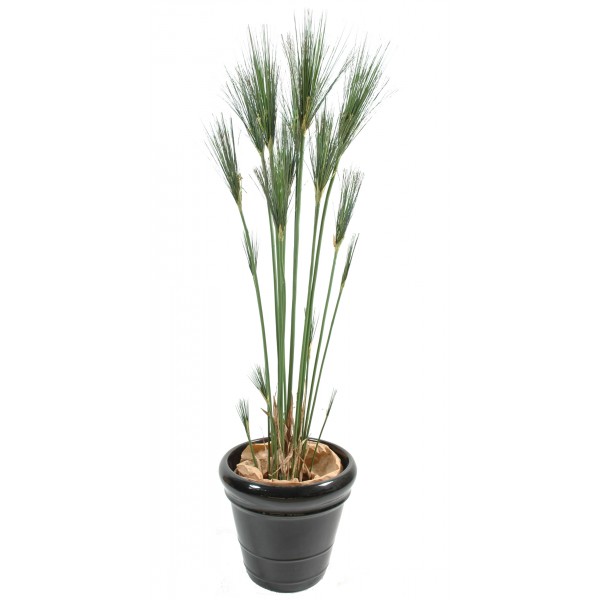 Papyrus Cyperus – Plante artificielle