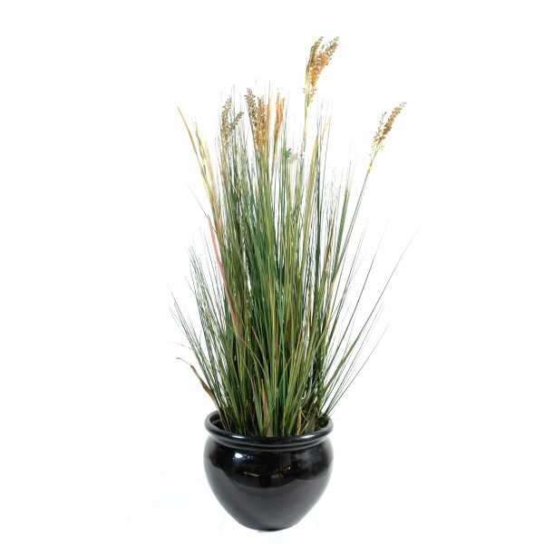 Papyrus Scirpus Validus – Plante artificielle