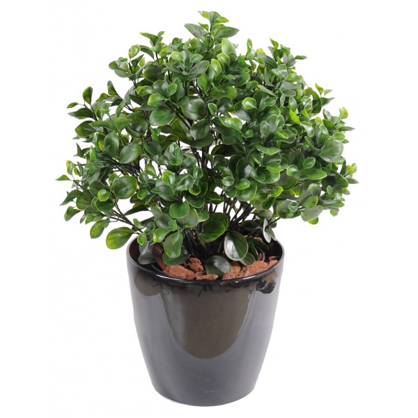 Peperomia Plast Buisson – Végétal artificiel