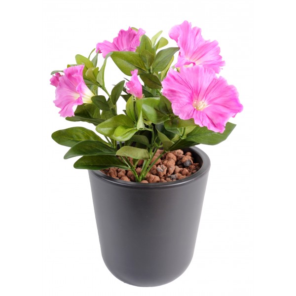 Petunia *7 – Plante artificielle