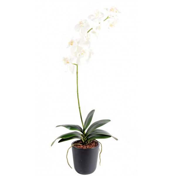 Phalaenopsis L*11 – Plante artificielle