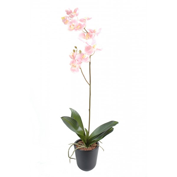 Phalaenopsis L*12 – Plante artificielle