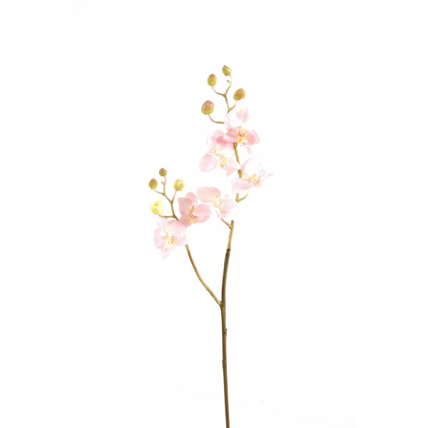 Phalaenopsis M Tige – Fleur artificielle en tige