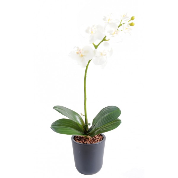 Phalaenopsis M*7+2 – Plante artificielle