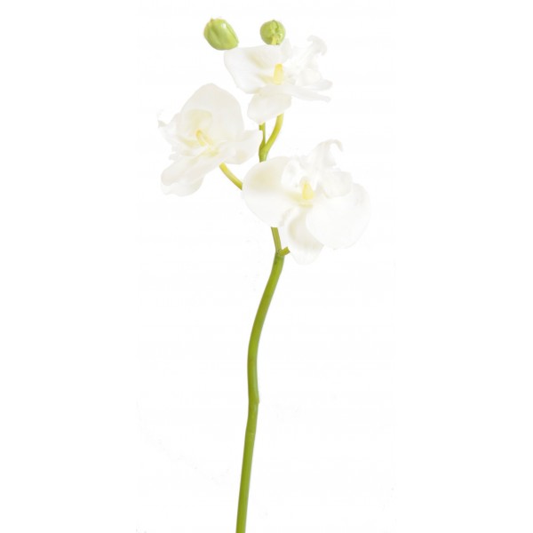 Phalaenopsis Mini Orchid – Végétal artificiel