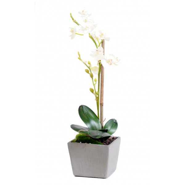 Phalaenopsis Pot – Végétal artificiel