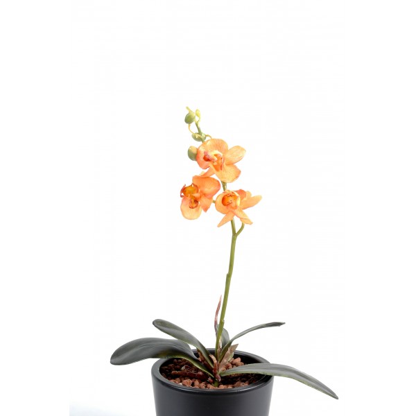 Phalaenopsis S – Plante artificielle