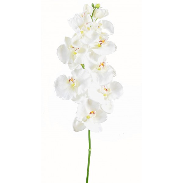 Phalaenopsis Tige Large*8 – Fleur artificielle en tige