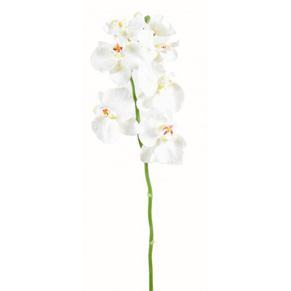 Phalaenopsis Tige Medium*6 – Fleur artificielle en tige