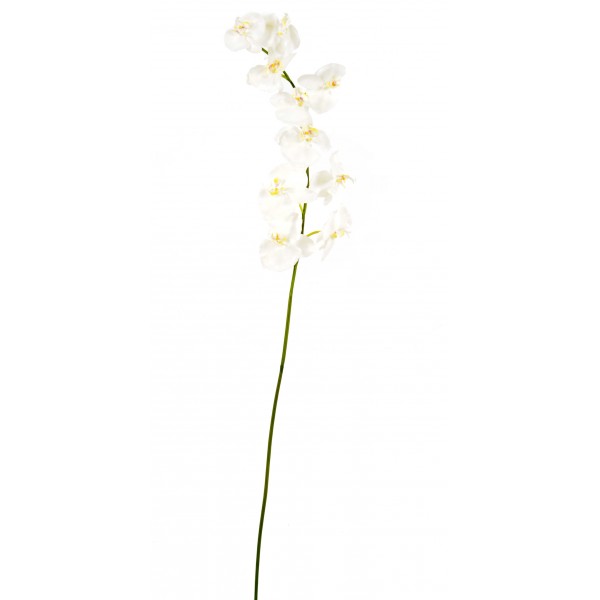 Phalaenopsis Tige *10F – Fleur artificielle en tige