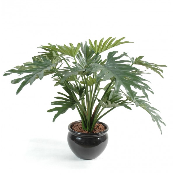 Philodendron Selloum Arbre – Arbre artificiel