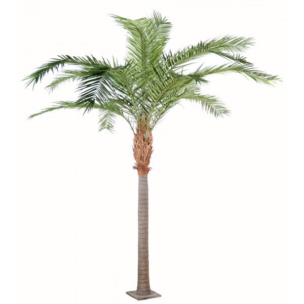 Phoenix Canariensis – Arbre artificiel