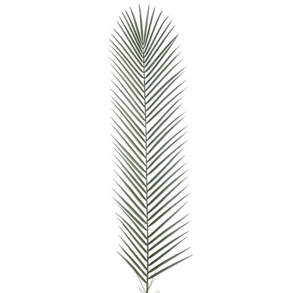 Phoenix Palm Plastique Gm – Feuillage artificiel