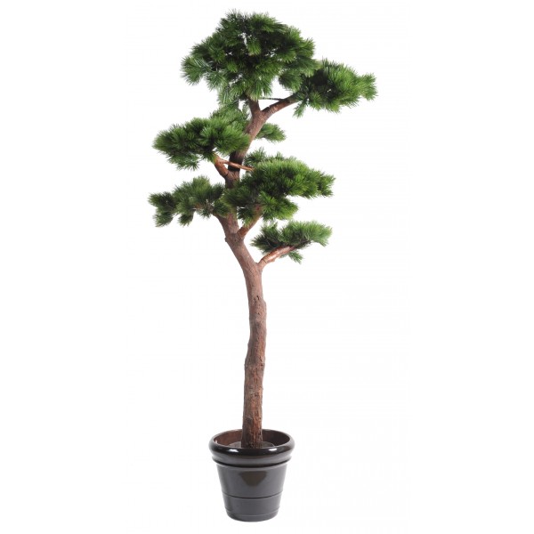 Pin Bonsai Uv Resistant – Végétal artificiel