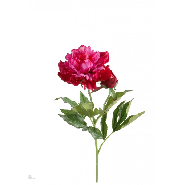 Pivoine 1T 1B – Fleur artificielle en tige