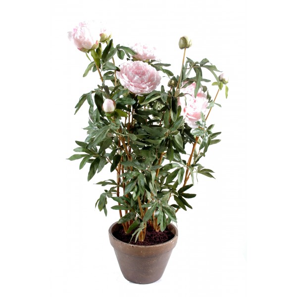 Pivoine Pot Terre – Composition artificielle