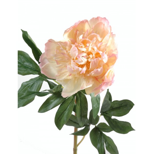 Pivoine – Fleur artificielle en tige