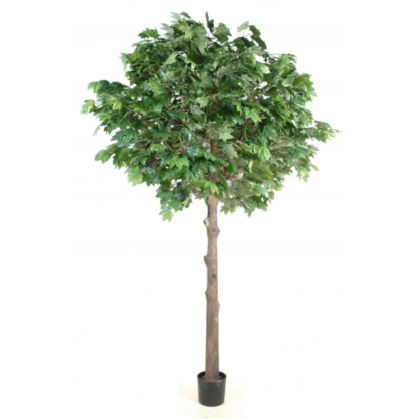 Platane Tete Platine – Arbre artificiel