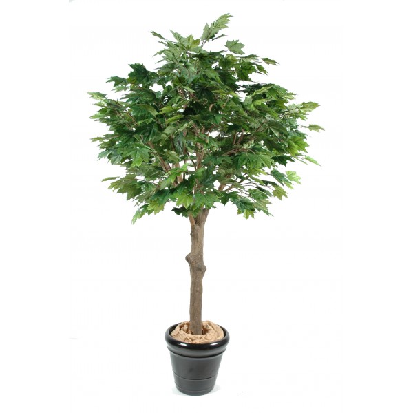 Platane Tete – Arbre artificiel