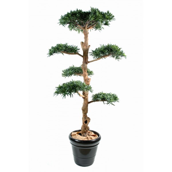 Podocarpus Nuage Large – Arbre artificiel