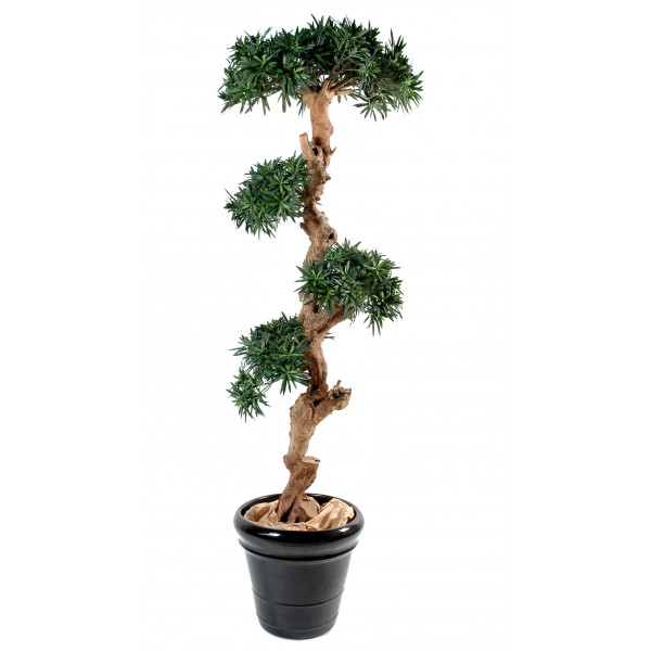 Podocarpus Nuage – Arbre artificiel