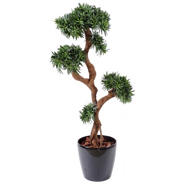 Podocarpus Tree – Végétal artificiel