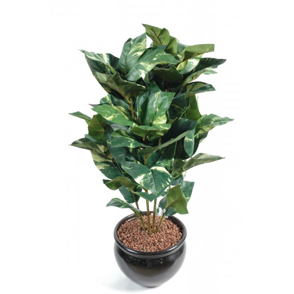 Pothos Nt*60 – Plante artificielle