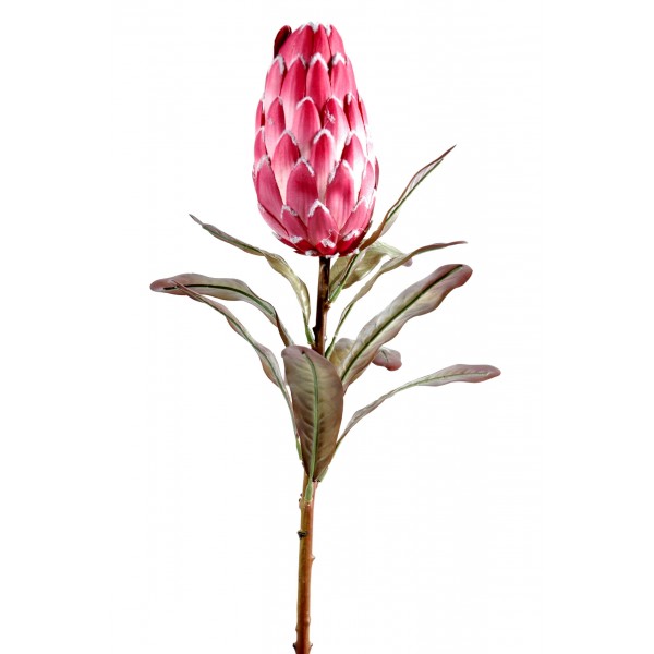 Protea – Fleur artificielle en tige