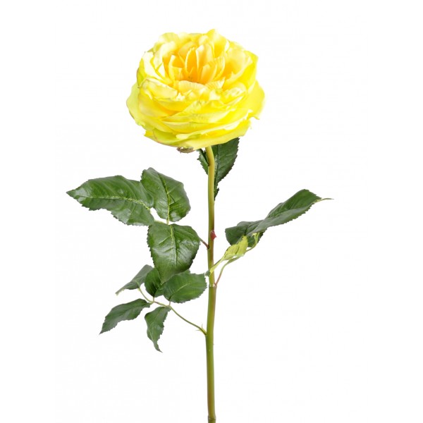 Rose Anglaise 14 – Fleur artificielle en tige